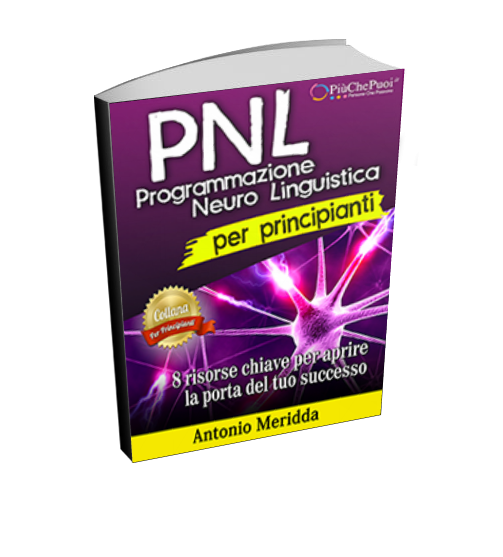 PNL per principianti
